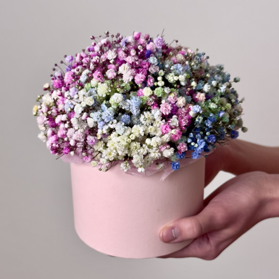 Гипсофила 3