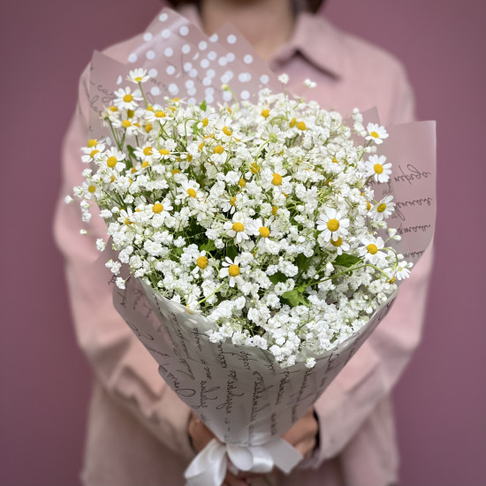 Гипсофила 4