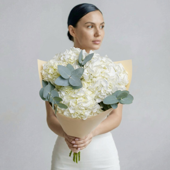 Гортензии 0